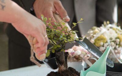 Természet ihlette egyesülési ceremóniák